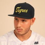 Gorra Tigres Dorada - Imagen 2